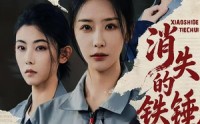 【消失的铁锤】55集短剧在线免费完整观影