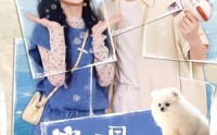 【穿成假冒失忆大佬女友的恶毒女配：心动篇】69集超火短剧在线免费看