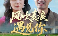 【风吹麦浪遇见你】60集短剧完整版，在线一口气看完