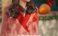 【回档人生之1991张扬 长篇】全集更新中，VIP专享在线看