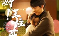 【你好！王桂英】43集短剧官方在线观看平台