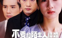 【不要和陌生人结婚】90集连续剧在线观看无广告