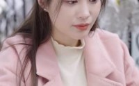 【妻子的婚姻保卫战】74集高清无广告在线观看平台