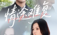 【情途难复】50集短剧免费高清在线看