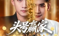 【头号赢家】59集优质短剧免费在线观瞧