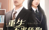 【重生不当舔狗】67集精彩短剧在线免费观看
