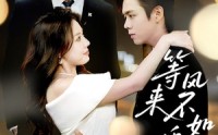 【等风来不如追风去】72集短剧全集在线观看不卡顿