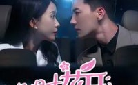 【几时花开几时落】66集完整版短剧在线观看平台