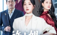 【许小姐 高调辞职了】57集短剧免费在线观享