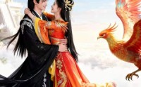 【凤女灼华】41集短剧在线免费观看无卡顿