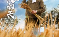 【粮食安全大如天】43集短剧官方在线观看渠道