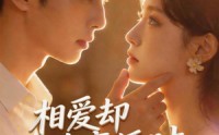 【相爱却在离婚时】61集短剧在线畅快追看