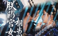 【朕的宫女相当野】62集高清短剧全集在线流畅观看