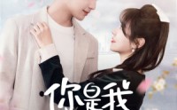 【时光与你皆喜欢】68集短剧免费全集在线追，精彩剧情不断