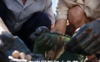 【八七赶海，老婆真是港岛大小姐第二季】123集短剧全集免费在线速看