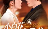 【小白花误惹太子爷】118集短剧高清全集，在线观看无广告