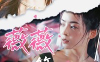 【薇薇一笑很倾城】80集短剧资源在线观看不卡顿