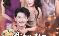 【我都入赘了老婆宠我很合理吧】69集免费短剧全集速览