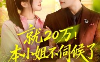 【就20万！本小姐不伺候了】60集短剧免费在线速观