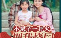 【小舅子一把火把我烧回80年代】100集全集收藏，在线回味经典