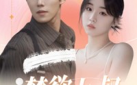 【禁欲大叔又甜又撩】94集高清短剧全集在线流畅观看