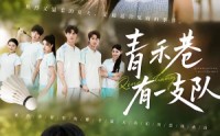 【青禾巷有一支队】45集短剧在线免费畅享