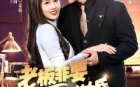 【老板非要和我结婚怎么办第二季】50集短剧免费高清观看