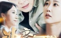 【非豪勿扰】100集短剧全集，一键式在线观看