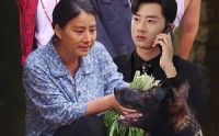 【望子归来】50集短剧免费在线观看无删减