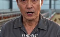【我开鸡煲店后，侄子悔哭了】81集爆火短剧在线抢看