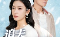 【追夫火葬场】31集短剧免费在线一口气看完