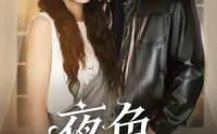 【夜色偏航】68集短剧全集免费畅看无阻