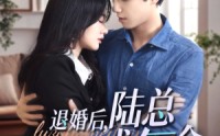 【退婚后，陆总每天求复合】71集免费短剧完整版在线播放