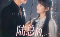 【陆总的宠溺小甜妻】61集短剧免费全集赏映
