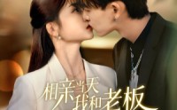 【相亲当天我和老板领证结婚了】52集免费短剧完整观看