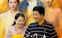 【再回首闪婚之仍是心尖宠】36集短剧免费在线一口气看完