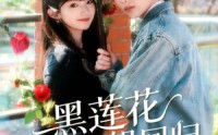 【黑莲花大小姐回归】80集短剧全集免费在线赏