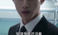 【盲眼大佬的独家偏爱】83集短剧完整版在线播放