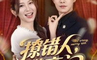 【撩错人攀高门】73集全集短剧，在线观看无限制