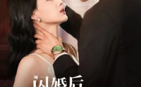 【闪婚后我成了大佬的掌中之物】64集完整短剧在线观看高清版