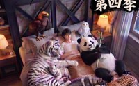 【农场萌宠！第四季】80集短剧免费在线赏看