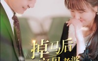 【掉马后我的宝贝老婆惊呆了】100集超清短剧全集在线追剧神器