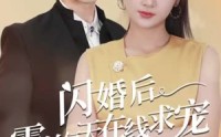 【痴傻老公是霸总】63集短剧在线观看，无广告打扰