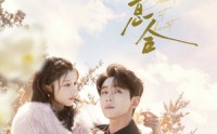 【情投意合】60集短剧免费高清在线观看