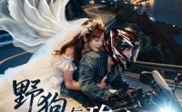 【野狗与玫瑰】30集短剧在线观看完整无删