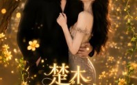 【楚木交枝】70集短剧免费完整版在线赏