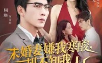 【未婚妻嫌我寒酸却不知我才是靠山】70集免费短剧完整在线观享