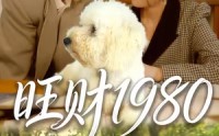 【旺财1980】83集短剧全集免费速看