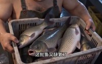 【最强钓场：开局两百块死鱼，拉爆千万钓王】43集精彩短剧在线赏看