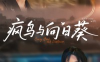 【疯鸟与向日葵】40集免费短剧全集速看